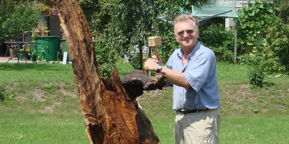 Klaus Seidel arbeitet an einem Baumstamm